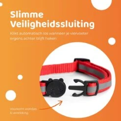 ACE Pets Reflecterende Kattenhalsband Met Veiligheidssluiting – Halsband Kat & Kitten - Met Adreskoker - Kittenhalsband & Kattenbandje Met Belletje - Geschikt Voor Apple Airtag - Zwart -Dieren Product Winkel 1200x1200 730