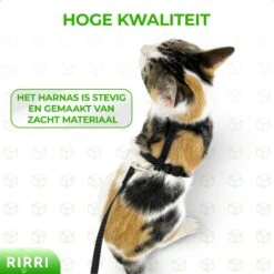 Rirri Kattenharnas Met Looplijn - Kattentuigje Met Looplijn Hoogwaardige Kwaliteit - Zwart -Dieren Product Winkel 1200x1200 742
