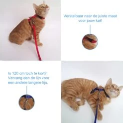 Kattentuigje Met Looplijn Kattenharnas Kittentuigje Kattenriem Met Looplijn Kat Kitten Tuigje Verstelbaar - Roze -Dieren Product Winkel 1200x1200 752