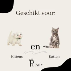 Petsify - Kattenhalsband Met Belletje - Veiligheidssluiting - Reflecterend - Halsband Kat - Halsband Kitten - Set Van 11 11 Petsify - Kattenhalsband Met Belletje - Veiligheidssluiting - Reflecterend - Halsband Kat - Halsband Kitten - Set Van 11 -Dieren Product Winkel 1200x1200 754