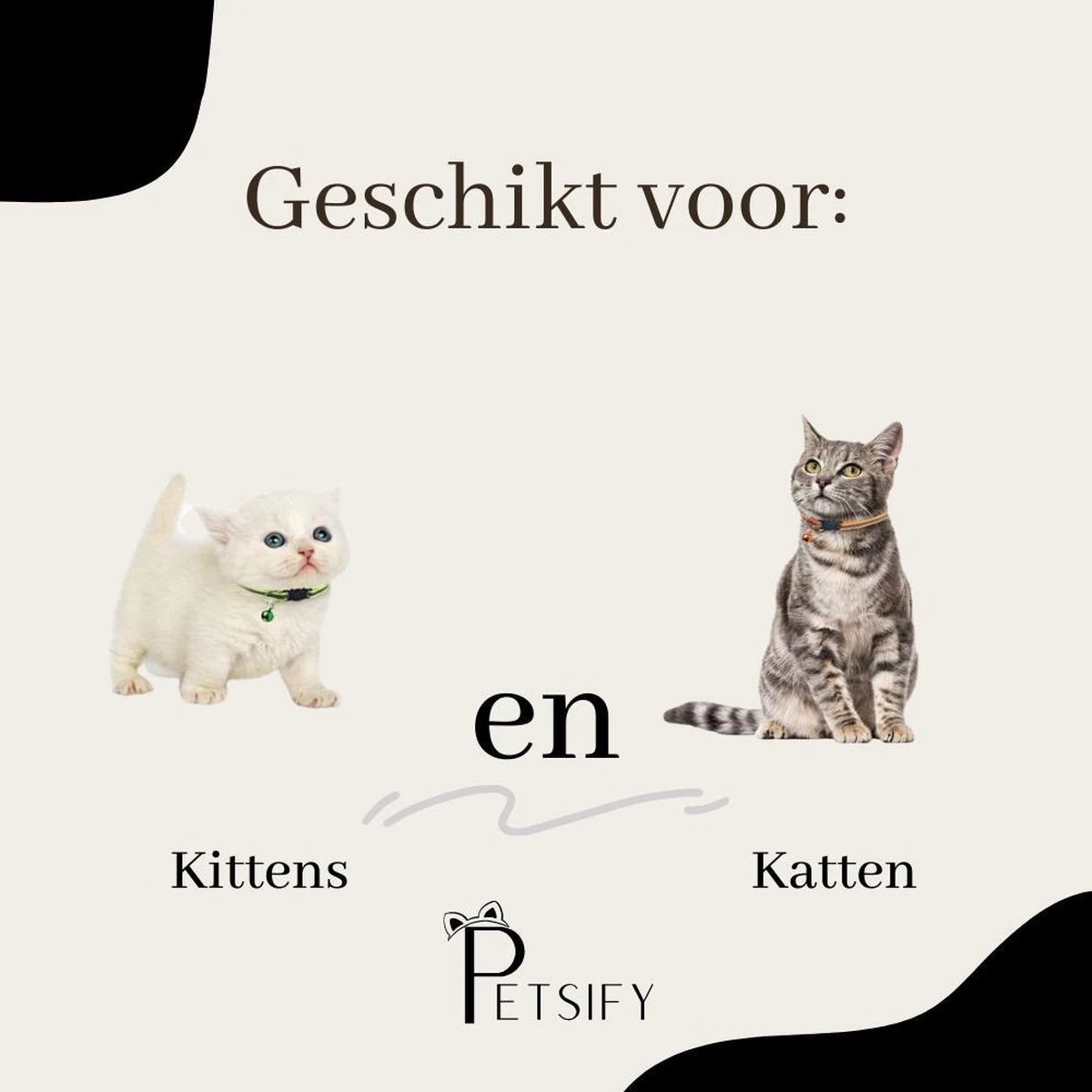 Petsify - Kattenhalsband Met Belletje - Veiligheidssluiting - Reflecterend - Halsband Kat - Halsband Kitten - Set Van 11 6 Petsify - Kattenhalsband Met Belletje - Veiligheidssluiting - Reflecterend - Halsband Kat - Halsband Kitten - Set Van 11 - Afbeelding 6