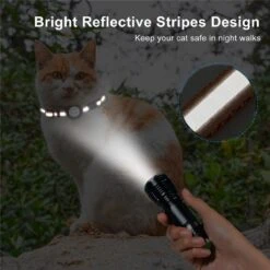 BJØRK™ Kattenhalsband Airtag - Reflecterend - Oranje - Verstelbaar - 20 Tot 30 Cm - Tracker- GPS - Geschikt Voor Apple AirTag - Kattenriem - Katten Accessoire - Halsband Kat Airtag -Dieren Product Winkel 1200x1200 758