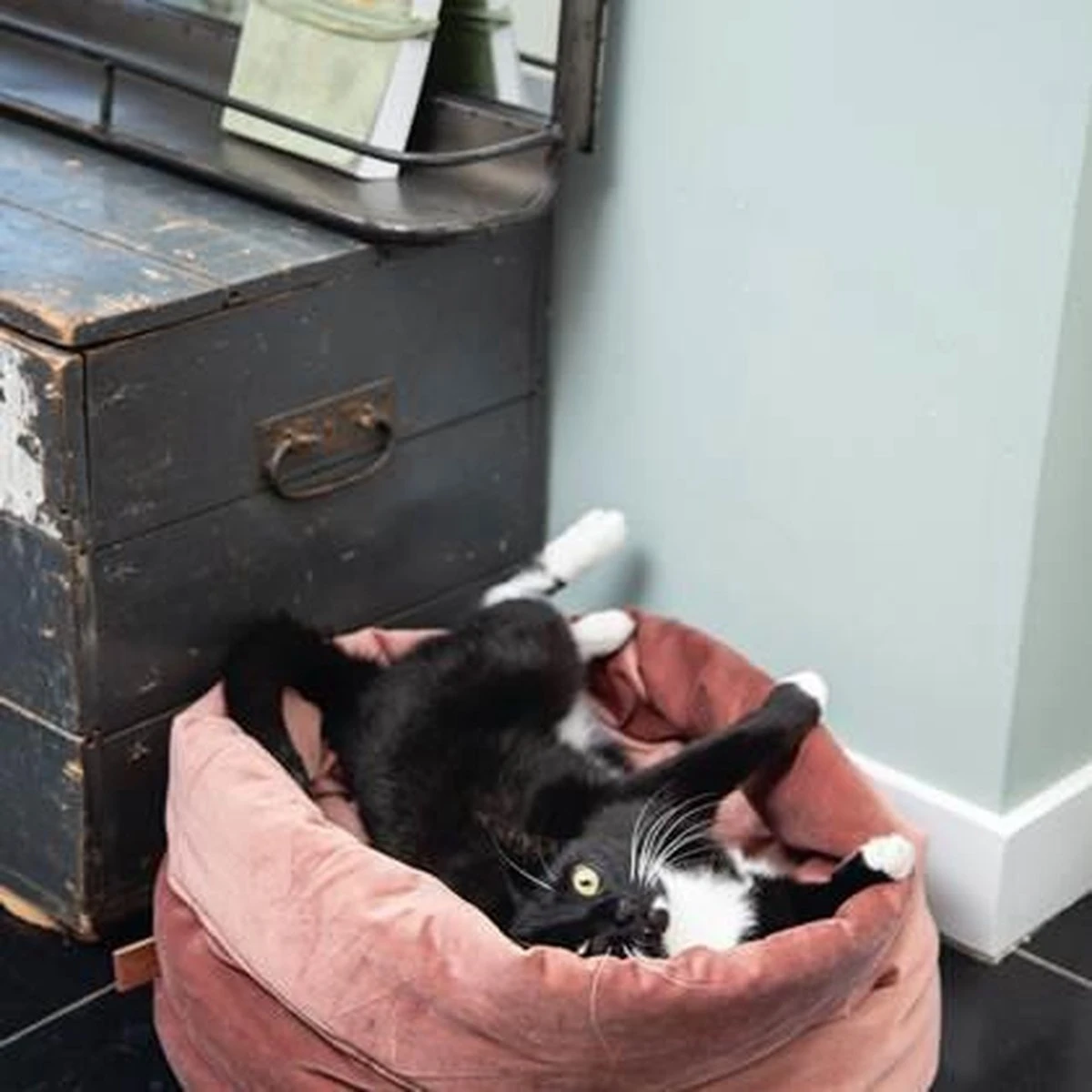 Designed By Lotte Fluco Kattenmand - Fluweel - Groen - 45x45x35 Cm 2 Designed By Lotte Fluco Kattenmand - Fluweel - Groen - 45x45x35 Cm - Afbeelding 2