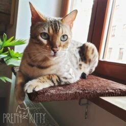 PRETTY KITTY Cat Window Bed 32x41cm: Knuffelig Kattenbed Voor De Vensterbank, Premium Kattenbed Fluffy Voor Het Raam, Vensterbank Kat - Wasbaar, Vensterbank Kat -Dieren Product Winkel 1200x1200 838