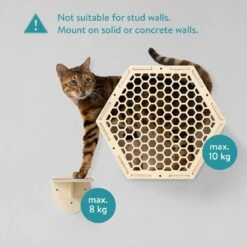 Navaris Katten Klimwand 4-delige Set - Katten Klimmuur Voor Binnenshuis - Kattenmeubel Met Wandmontage - Met Drie Plankjes Voor Meer Klimplezier 9 Navaris Katten Klimwand 4-delige Set - Katten Klimmuur Voor Binnenshuis - Kattenmeubel Met Wandmontage - Met Drie Plankjes Voor Meer Klimplezier -Dieren Product Winkel 1200x1200 849