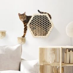 Navaris Katten Klimwand 4-delige Set - Katten Klimmuur Voor Binnenshuis - Kattenmeubel Met Wandmontage - Met Drie Plankjes Voor Meer Klimplezier 11 Navaris Katten Klimwand 4-delige Set - Katten Klimmuur Voor Binnenshuis - Kattenmeubel Met Wandmontage - Met Drie Plankjes Voor Meer Klimplezier -Dieren Product Winkel 1200x1200 850