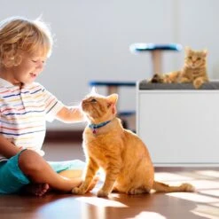 Relaxdays Kattenbak Ombouw - Met Zitkussen - Kattenhuis Wit - Kattenmeubel - Kattenkast -Dieren Product Winkel 1200x1200 859