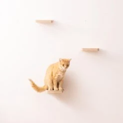 Navaris Katten Klimmuur 3 Tredes - 18 X 18 X 1,5 Cm Per Plankje - Katten Klimwand Van Hout - Inclusief Bevestigingsmateriaal -Dieren Product Winkel 1200x1200 925