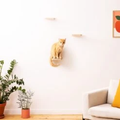 Navaris Katten Klimmuur 3 Tredes - 18 X 18 X 1,5 Cm Per Plankje - Katten Klimwand Van Hout - Inclusief Bevestigingsmateriaal -Dieren Product Winkel 1200x1200 926