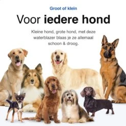 Vivid Green Waterblazer Met 3 Opzetstukken - Hondenfohn - Voor Honden - Met Geluiddemper - 2800W -Dieren Product Winkel 1200x1200 996