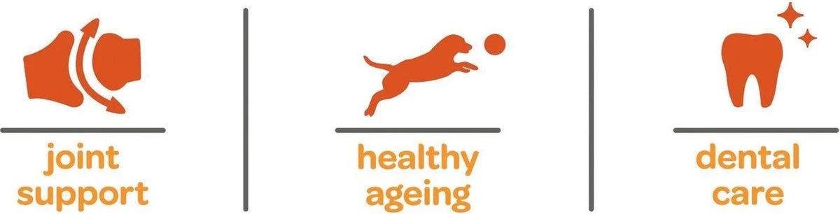 Smolke Senior Mini - Kip - Hondenvoer - 3 Kg 17 Smolke Senior Mini - Kip - Hondenvoer - 3 Kg - Afbeelding 17