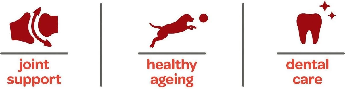 Smolke Senior Maxi - Rijst & Lam - Hondenvoer - 3 Kg 16 Smolke Senior Maxi - Rijst & Lam - Hondenvoer - 3 Kg - Afbeelding 16