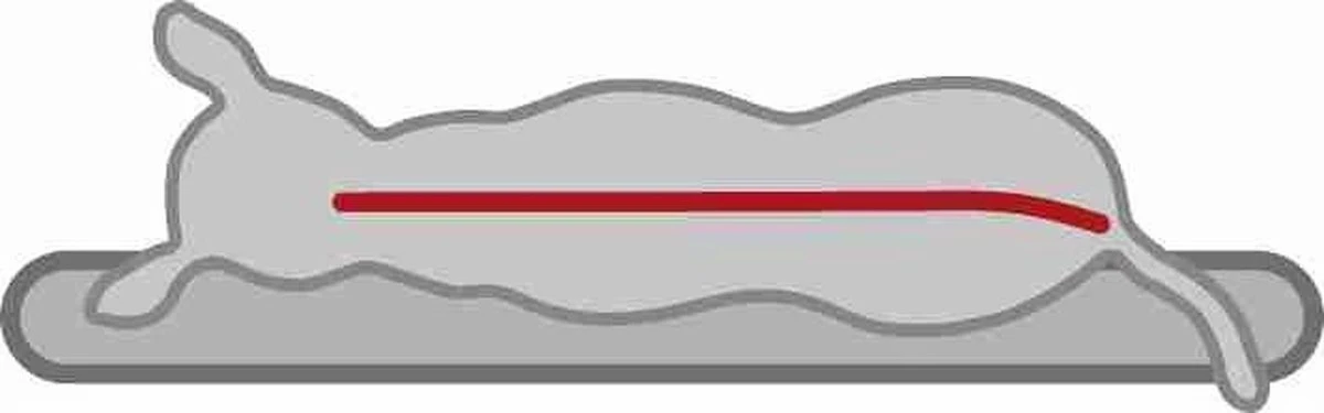 Trixie Vitaal Orthopedische Kussen Taupe/Lichtgrijs - 60 X 40 CM 3 Trixie Vitaal Orthopedische Kussen Taupe/Lichtgrijs - 60 X 40 CM - Afbeelding 3