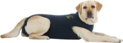Medical Pet Shirt Hond - Blauw M
