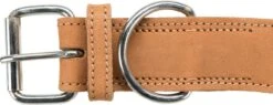Trixie Rustic Vetleren Halsband "Heartbeat" - Maat M -Dieren Product Winkel 1200x463