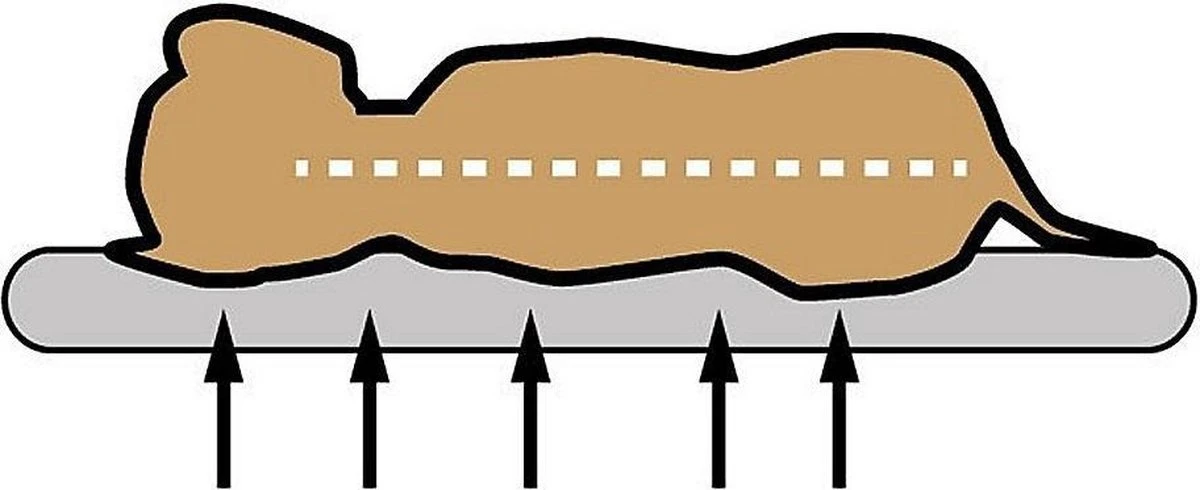 Sun Garden Buddy Orthopedisch Hondenkussen 140x100x10cm 2 Sun Garden Buddy Orthopedisch Hondenkussen 140x100x10cm - Afbeelding 2