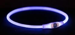 Trixie Halsband Usb Flash Light Lichtgevend Oplaadbaar Tpu Blauw - 40X0.8 CM -Dieren Product Winkel 1200x559 4