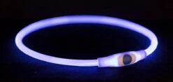 Trixie Halsband Usb Flash Light Lichtgevend Oplaadbaar Tpu Blauw - 40X0.8 CM -Dieren Product Winkel 1200x567 2