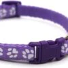 Merkloos Kattenhalsband Met Belletje - Verstelbaar - 19 / 32 Cm - Kattenbandje - Halsband Kat - Cat - Kitten - Katten Halsband - Paars