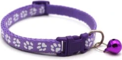 Merkloos Kattenhalsband Met Belletje - Verstelbaar - 19 / 32 Cm - Kattenbandje - Halsband Kat - Cat - Kitten - Katten Halsband - Paars