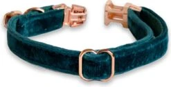 ACE Pets Kattenhalsband Met Belletje – Halsband Kat & Kitten - Kittenhalsband & Kattenbandje - Kattenbelletje - Pluche Velvet - Groen -Dieren Product Winkel 1200x611 2