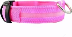 Lichtgevende Halsband LED Maat XS 28 - 38 Cm USB Oplaadbaar Hondenhalsband Puppy Riem - Roze Hond Dog Kat Kitten Cat - Dutchwide