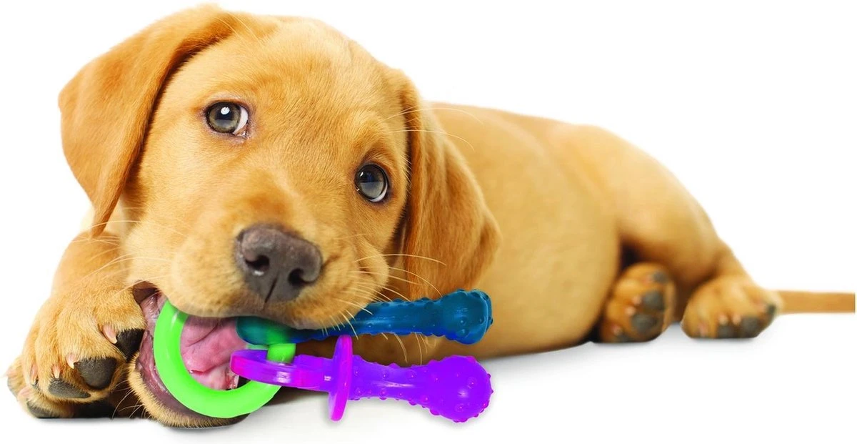 Nylabone Puppy Teething Pacifier Flexible - Hondenspeelgoed - Bacon 215x100x38 Mm 108 G Roze Blauw Groen Tot 11kg Small 3 Nylabone Puppy Teething Pacifier Flexible - Hondenspeelgoed - Bacon 215x100x38 Mm 108 G Roze Blauw Groen Tot 11kg Small - Afbeelding 3