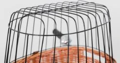 Trixie Chikko Fietsmand Van Wilgentakken -Dieren Product Winkel 1200x633 1