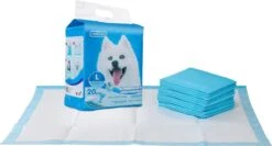 Nobleza 48LXE - Puppy Training Pads - 60 X 90 Cm - Zindelijkheidstraining - 120 Stuks -Dieren Product Winkel 1200x648
