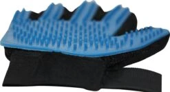 Merkloos Verzorgingsborstel - Zwart/Blauw - 1 Maat - Rechtshandig 12 Merkloos Verzorgingsborstel - Zwart/Blauw - 1 Maat - Rechtshandig -Dieren Product Winkel 1200x652 5