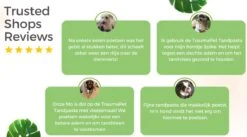 TraumaPet Tandpasta Met Colloïdaal Zilver Voor Dieren | Met Vleessmaak | Bij Stinkende Adem | Tandplak | Geïrriteerd Tandvlees | Tandsteen -Dieren Product Winkel 1200x666 5