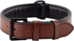 Brute Strength - Luxe Leren Halsband Hond - Bruin Met Zwarte Stiksels - XL - (56 - 63) X 3,5 Cm