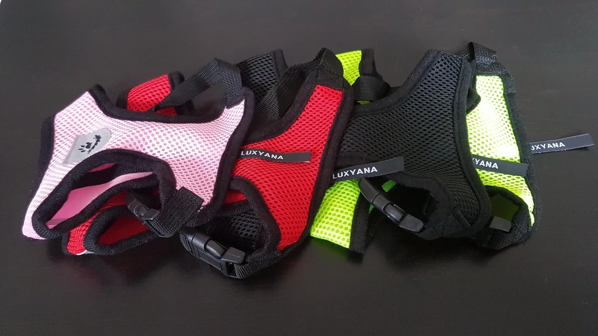 Luxyana® Honden Tuigje - XS - 25-28cm - Geschikt Voor Puppy En Als Kattentuigje - Easy Step-in Hondenharnas - Inclusief Bijpassend Riempje - Zwart 10 Luxyana® Honden Tuigje - XS - 25-28cm - Geschikt Voor Puppy En Als Kattentuigje - Easy Step-in Hondenharnas - Inclusief Bijpassend Riempje - Zwart - Afbeelding 10