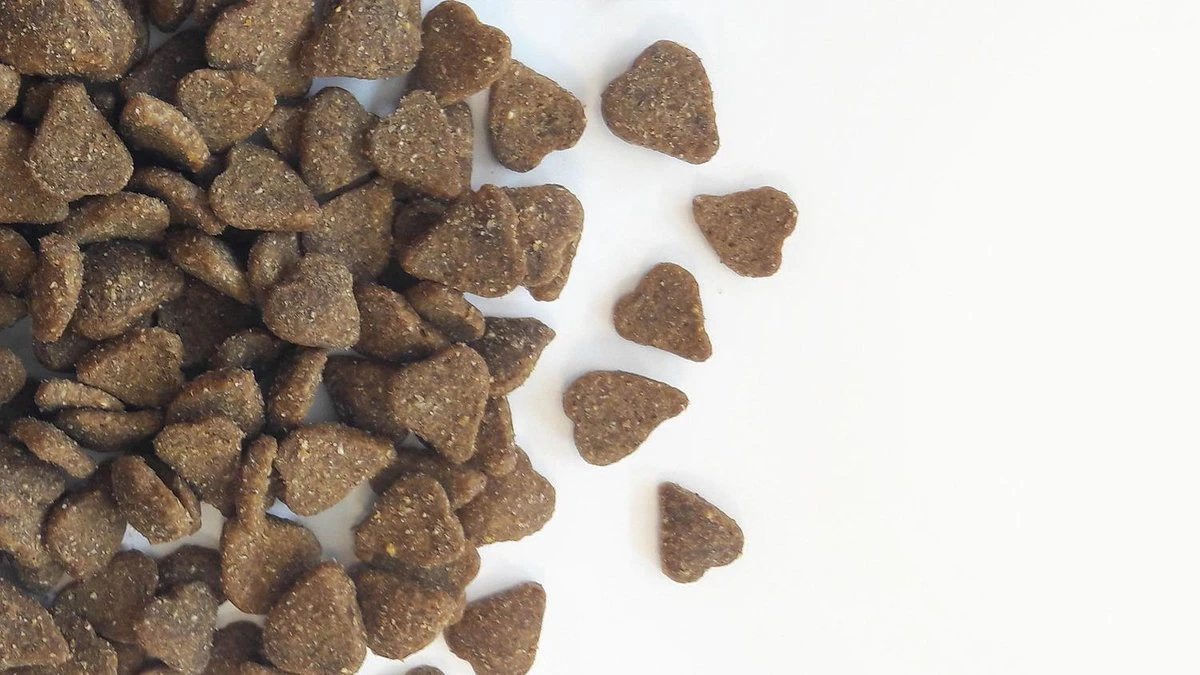 Carocroc Adult - Lam - Kattenvoer - 15 Kg 6 Carocroc Adult - Lam - Kattenvoer - 15 Kg - Afbeelding 6