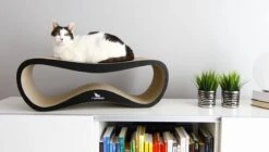 MyKotty LUI - Krabpaal - Zwart - 75cm X 25cm 8 MyKotty LUI - Krabpaal - Zwart - 75cm X 25cm -Dieren Product Winkel 1200x678