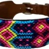Hondenhalsband - Multikleur Neon - XL ( Nekomvang 53 - 63 Cm )