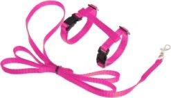 Kattentuigje Met Looplijn Kattenharnas Kittentuigje Kattenriem Met Looplijn Kat Kitten Tuigje Verstelbaar - Roze