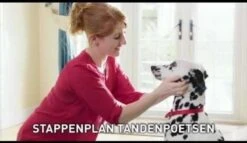 Beaphar Tandenborstel 10 Beaphar Tandenborstel -Dieren Product Winkel 1200x697 2