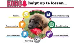Kong Puppy - Kauwbot Hondenspeelgoed Small - Kauwbot - 85mm X 42mm - Groen/Wit -Dieren Product Winkel 1200x704 3