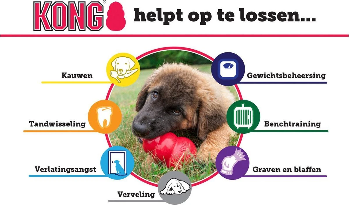 Kong Extreme 11 Kong Extreme - Afbeelding 11