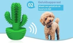Tandenborstel + TANDPASTA Hond Melk Geur Smaak En Piep Honden Speelgoed - Cactus Dog Toy Tandverzorging Kauwbotten Hondenspeelgoed Hondenbot Kauwstaaf Tanden Puppy Hondenspeeltje Sterk Kauwspeelgoed - Dutchwide -Dieren Product Winkel 1200x707 2