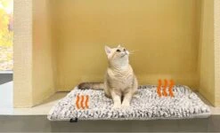 Merkloos Zelfverwarmende Dierendeken Zonder Stroom Thermo Deken Hond Kat Inclusief Adreslabel 70 X 47 Cm 16 Merkloos Zelfverwarmende Dierendeken Zonder Stroom Thermo Deken Hond Kat Inclusief Adreslabel 70 X 47 Cm -Dieren Product Winkel 1200x730 5