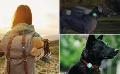 SunnyPets Halsband Airtag Houder - Hond En Kat Huisdieren Siliconen Halsband Bescherm Hoesje - Geschikt Voor Apple Airtag - Hondenhalsband - Geschikt Voor Koffer - Tracking - Zwart -Dieren Product Winkel 1200x742 8