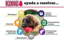 Kong Kauwbot - Hondenspeelgoed - Rood - S 17 Kong Kauwbot - Hondenspeelgoed - Rood - S -Dieren Product Winkel 1200x745 4