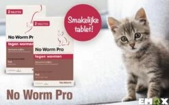 No Worm Pro Kat & Kitten - Anti Wormenmiddel - 2 X 2 Tab Vanaf 0.5 Kg Vanaf 6 Weken -Dieren Product Winkel 1200x750