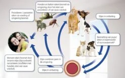 Beaphar Milquestra Kleine Kat/kitten - 0,5 Tot 4 Kg - 2 Tabletten -Dieren Product Winkel 1200x751 1