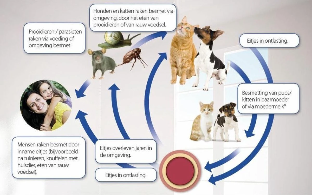 Beaphar Milquestra Ontworming Tabletten Kat 2 - 12 Kg 4 Tabletten 4 Beaphar Milquestra Ontworming Tabletten Kat 2 - 12 Kg 4 Tabletten - Afbeelding 4