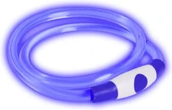 Led Dog Band USB | BEE SAFE -BLUE- | Dier Verlichting | Hondenband LED -Dieren Product Winkel 1200x766 5