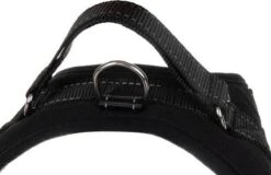 PetsPro Hondentuigje - Maat S - Anti Trek Honden Harnas - Honden Tuig - Tot 22 Kg - Nek Omvang: 37-45 Cm Borst Omvang: 48-55 Cm 11 PetsPro Hondentuigje - Maat S - Anti Trek Honden Harnas - Honden Tuig - Tot 22 Kg - Nek Omvang: 37-45 Cm Borst Omvang: 48-55 Cm -Dieren Product Winkel 1200x776 6