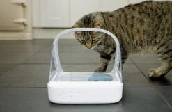 Surefeed Microchip Pet Feeder - Voerbak - 30 X 23 X 22 Cm 25 Surefeed Microchip Pet Feeder - Voerbak - 30 X 23 X 22 Cm -Dieren Product Winkel 1200x780 2